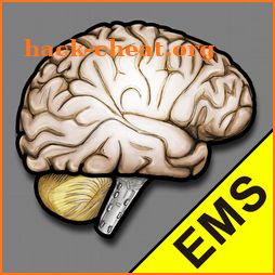 MEND EMS icon