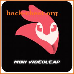 Mini Videoleap icon
