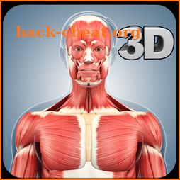 Muscle Anatomy Pro. icon