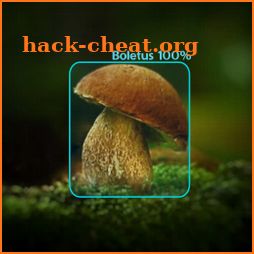 Mushroom Identifier - detection and classification icon