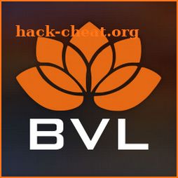My BVL icon