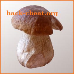 Myco - Mushroom Guide icon