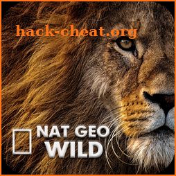 Nat Geo Videos: National Geographic 2018 icon