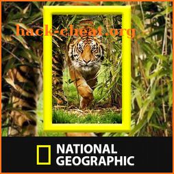 National Geographic Channel: Documentaries 2018 icon