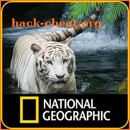 National Geographics: Channel 2018 icon