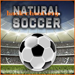 Natural Soccer - Fun Arcade Football Game icon