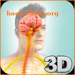 Nervous System Anatomy Pro. icon