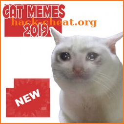 😸 New Cat Memes Stickers WAstickerApps icon