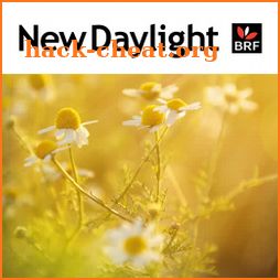 New Daylight: Bible Notes icon