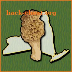 New York Mushroom Forager Map icon