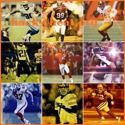 NFL Players Wallpaper App icon