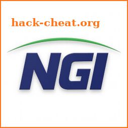 NGI icon