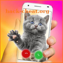Nifty Caller - Call Screen Themes icon