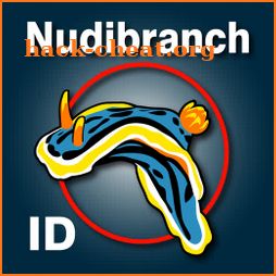 Nudibranch ID Eastern Pacific icon
