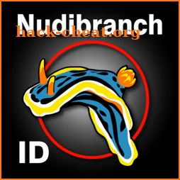 Nudibranch ID Indo Pacific icon