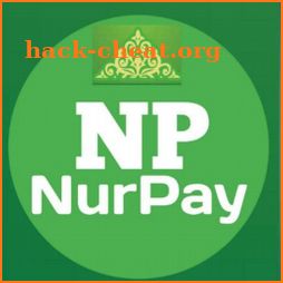 NurPay V5 icon