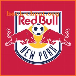NY Red Bulls icon