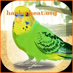 Parakeet Pet icon