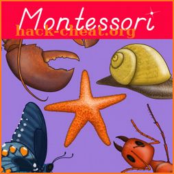 Parts of Animals Invertebrates -Montessori Zoology icon