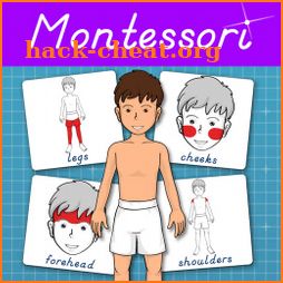 Parts of the Human Body - Montessori Anatomy icon