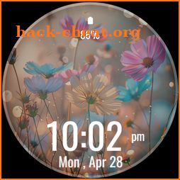 Pastel Floral Watch Face icon