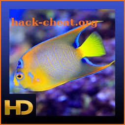 Peaceful Aquarium HD icon