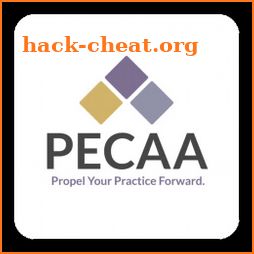 PECAA 2020 Annual Meeting icon