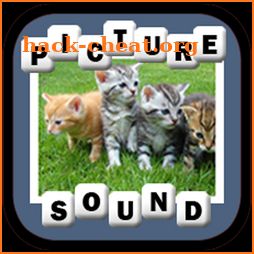 Pic D Sound icon