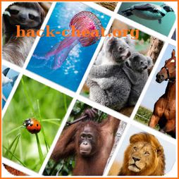 Picture Quiz: Animals icon