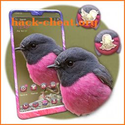 Pink Robin Launcher Theme icon