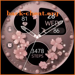 Pink Rose Flowers Watch Face icon