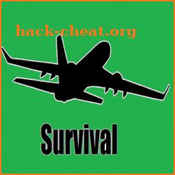 Plane Survival icon