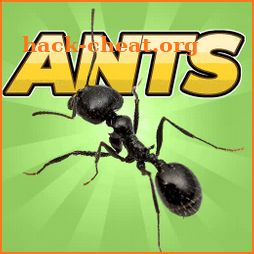 Pocket Ants: Colony Simulator icon
