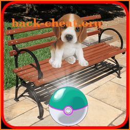 Pocket Puppy Pet Go! icon
