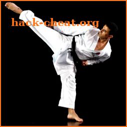 PocketPT - Shotokan Karate icon