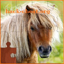 Pony Puzzles: Pony and Horse Jigsaw Puzzles icon
