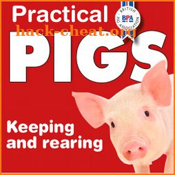 Practical Pigs icon