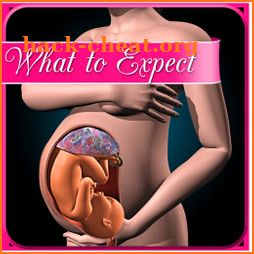 Pregnancy and what to expect week by week icon