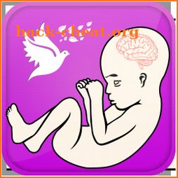 Pregnancy Guide - Baby Tracker icon