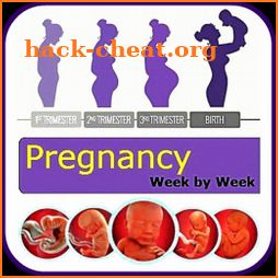 Pregnancy Stages Week by Week Guide icon