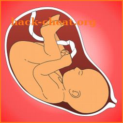 Pregnancy Tracker & Calculator icon