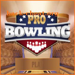 Pro Bowling 3D Game icon