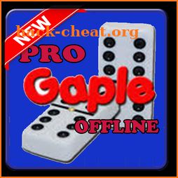 Pro Gaple Offline 2018 icon