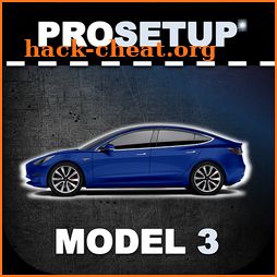 ProSetup for Tesla Model 3 icon