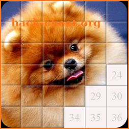 Puzzles and Guess the Breed of Dogs icon