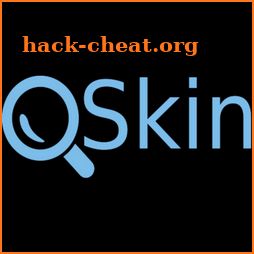QSkin icon