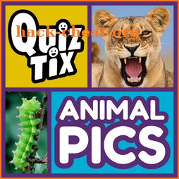 QuizTix: Animal Pics Trivia - Nature Image Library icon