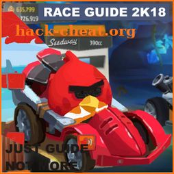 Race Guide for: Angry Birds Go 2k18 icon