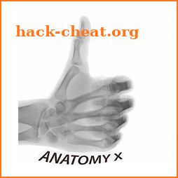 Radiographic Anatomy X-Ray icon