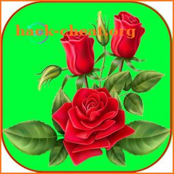 Ramos De Rosas y Flores 4K GIF icon